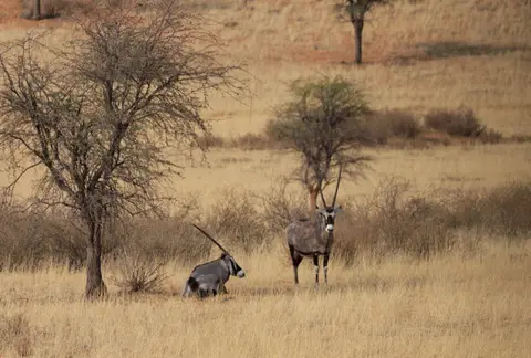 2016-Namibia-8927.jpg