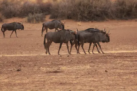 2016-Namibia-8999.jpg