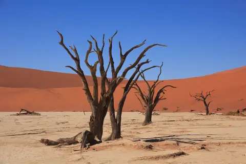 2016-Namibia-9069.jpg