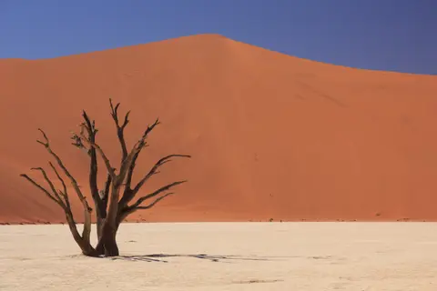 2016-Namibia-9086.jpg