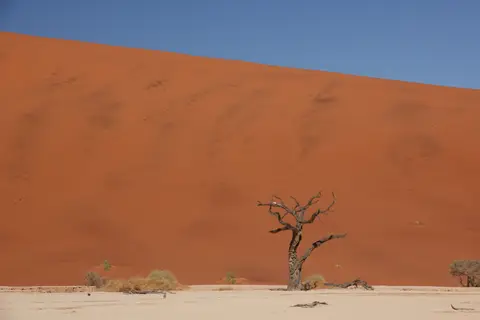 2016-Namibia-9088.jpg