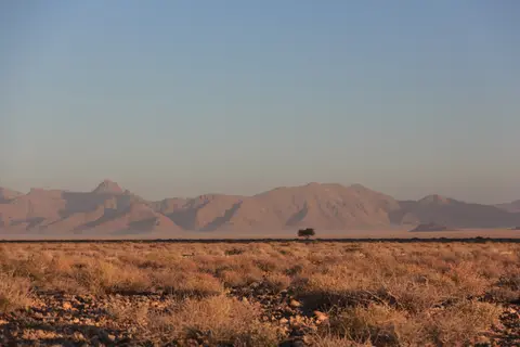 2016-Namibia-9104.jpg