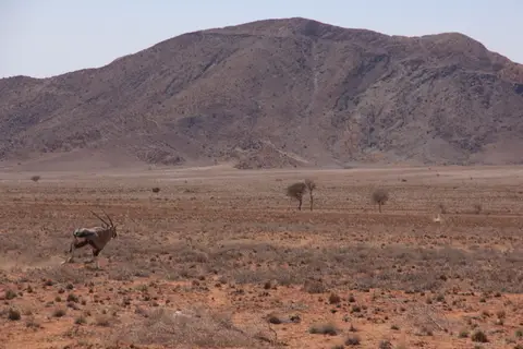 2016-Namibia-9134.jpg