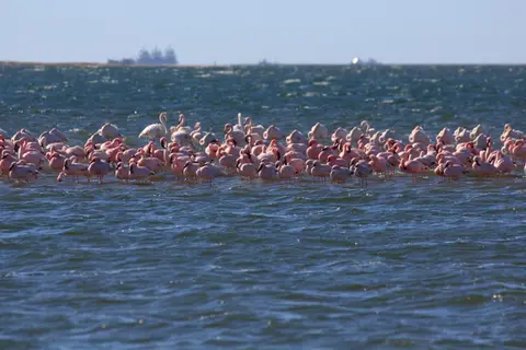 2016-Namibia-9293.jpg