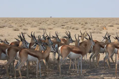 2016-Namibia-9451.jpg