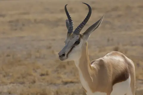 2016-Namibia-9457.jpg