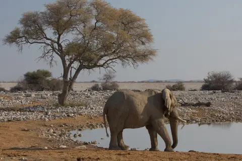 2016-Namibia-9478.jpg