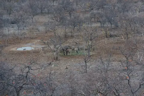 2016-Namibia-9490.jpg