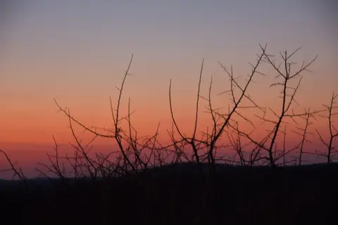 2016-Namibia-9501.jpg