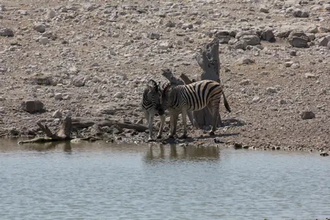 2016-Namibia-9543.jpg