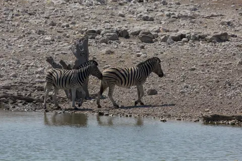 2016-Namibia-9545.jpg