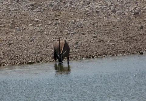2016-Namibia-9554.jpg