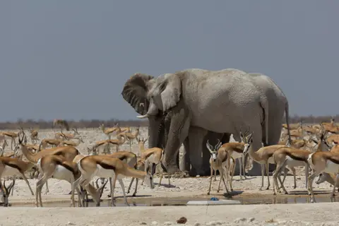 2016-Namibia-9595.jpg