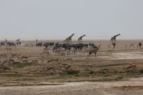 2016-Namibia-9795.jpg