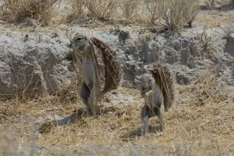2016-Namibia-9807.jpg
