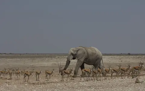 2016-Namibia-9818.jpg