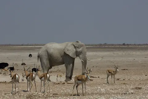 2016-Namibia-9859.jpg