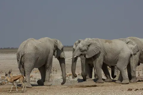 2016-Namibia-9860.jpg