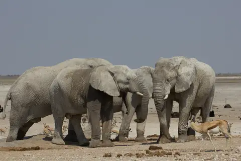 2016-Namibia-9867.jpg