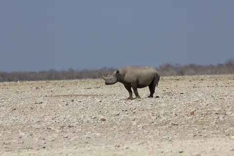 2016-Namibia-9877.jpg