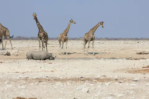2016-Namibia-9883.jpg