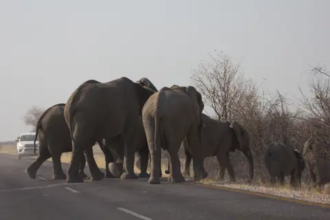 2016-Namibia-9942.jpg