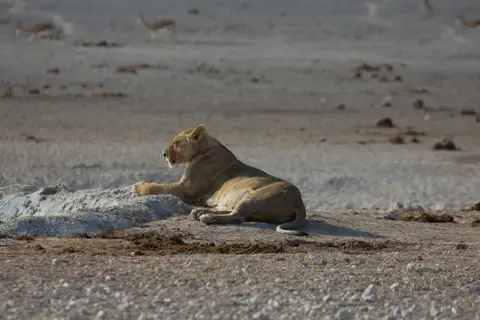 2016-Namibia-9981.jpg
