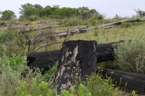 S.A(11)-2-3-4-5-6.jpg