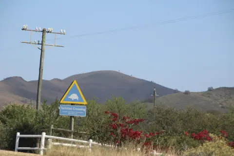 S.A(13)-2-3.jpg