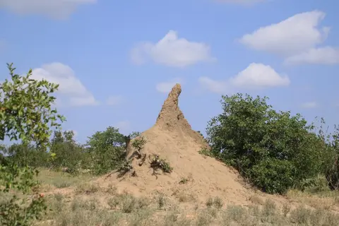 S.A(93)-2-3-4-5-6-7-8-9.jpg