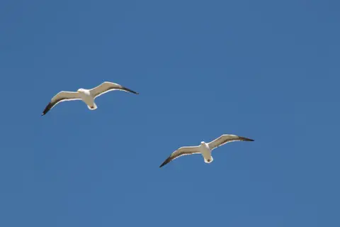 S.A.2017_025-2-3.jpg