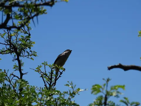 S.A.2017_075-2-3.jpg