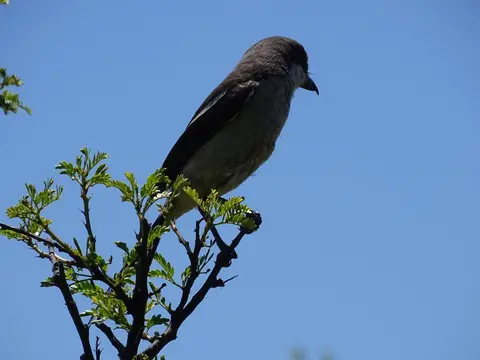 S.A.2017_076-2.jpg