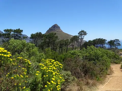 S.A.2017_077-2-3.jpg