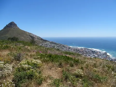 S.A.2017_081.jpg