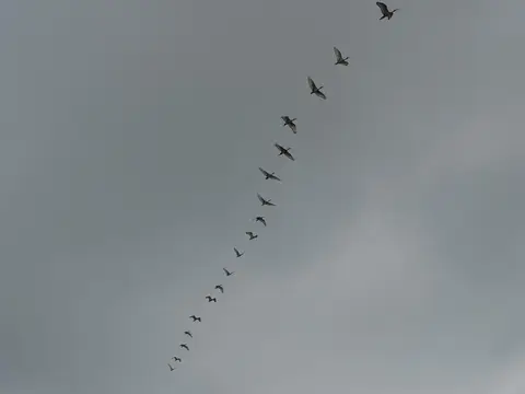 S.A.2018_061.jpg