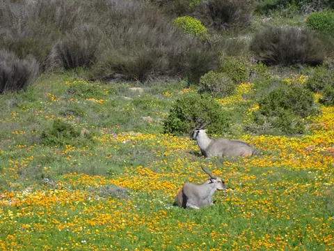 S.A.2018_064.jpg