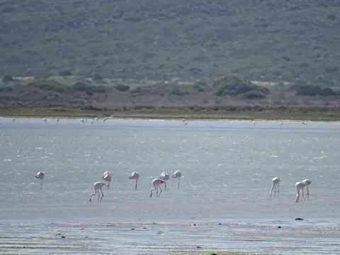 S.A.2018_071.jpg