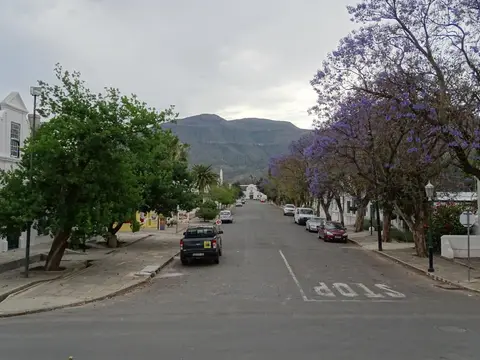 S.A01(38).jpg