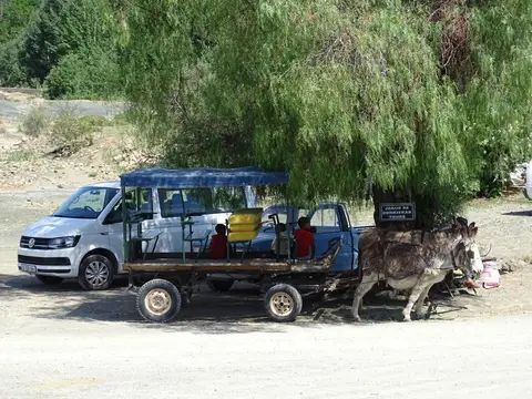 S.A01(40)-2.jpg