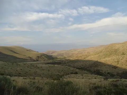 S.A01(97).jpg