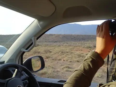 S.A1(102).jpg