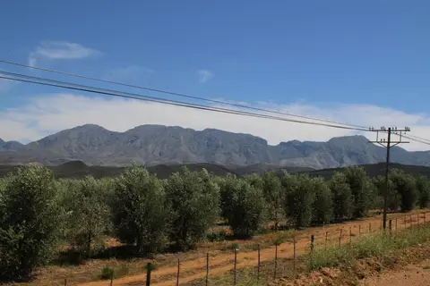 S.A1(2).jpg