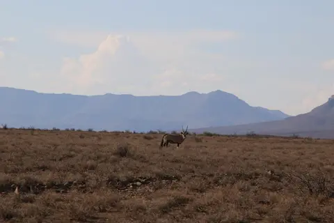 S.A1(43).jpg