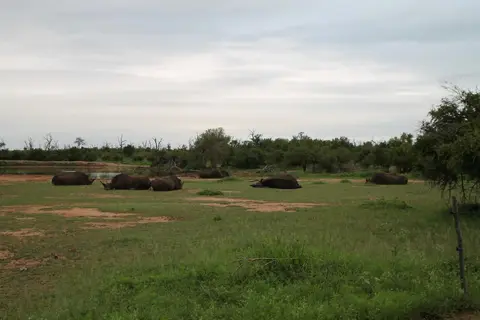 hda1ca05.jpg