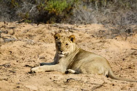 Namibia_2015-2380.jpeg