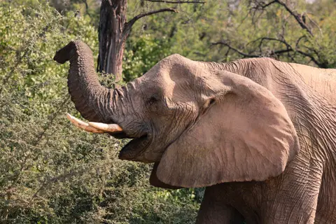 Namibia_2015-2447.jpeg
