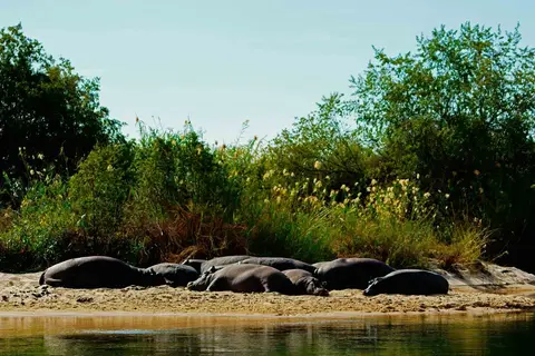 h33c135d.JPG