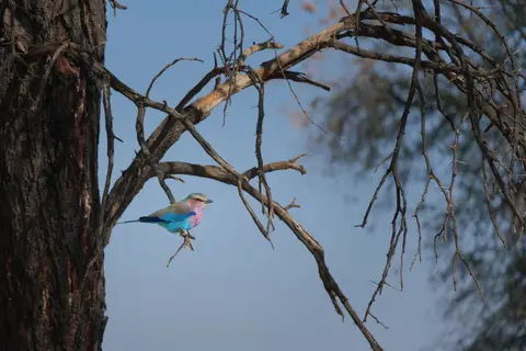 DSCF6395.jpg
