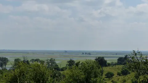 k-P1050536.JPG